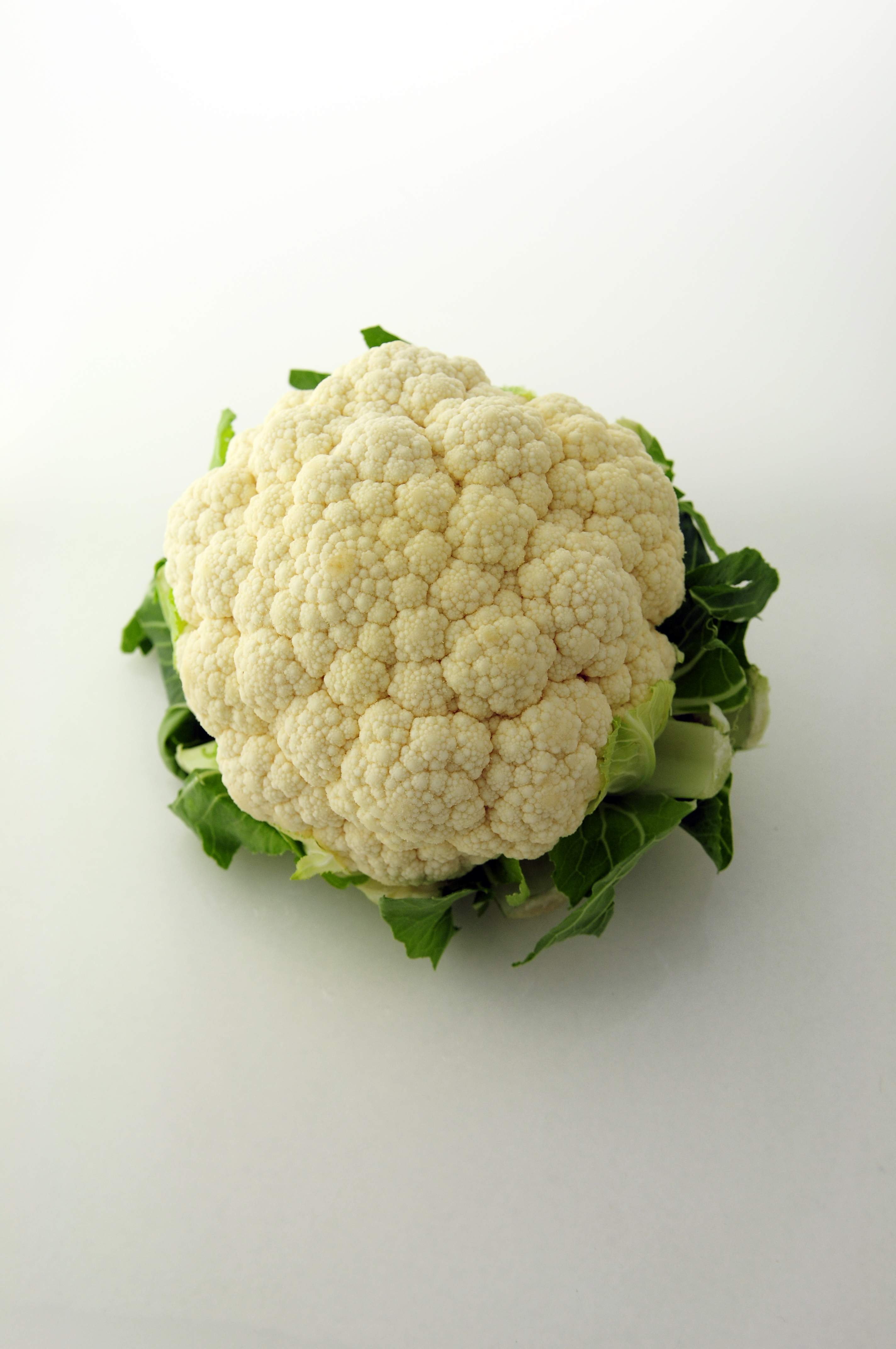 A white cauliflower with green leaves on a white background.