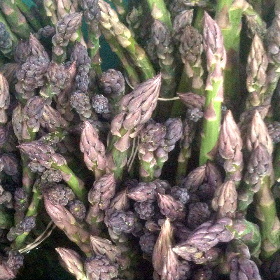 Asparagus from Blue Valley Gardens
