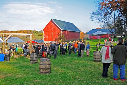 A picturesque fall day on Primrose Valley Farm.