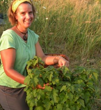 Erin Schneider, co-owner of Hilltop Community Farm