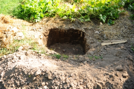 The biodynamic preparations will be buried until spring.