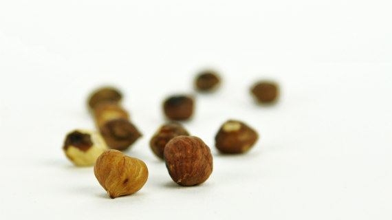 Hazelnuts scattered on a white background.