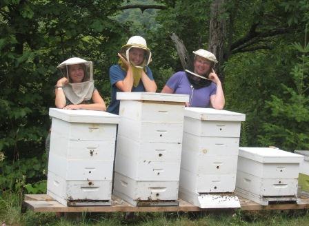 Driftless Folk School beekeeping course.