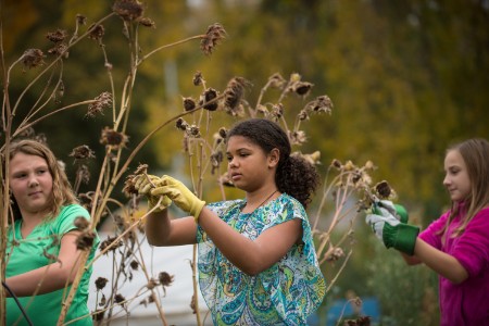 Photo by Nick Bernard Photography