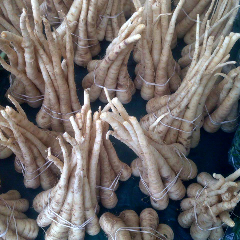 Overwintered Parsnips at the Dane County Farmers Market
