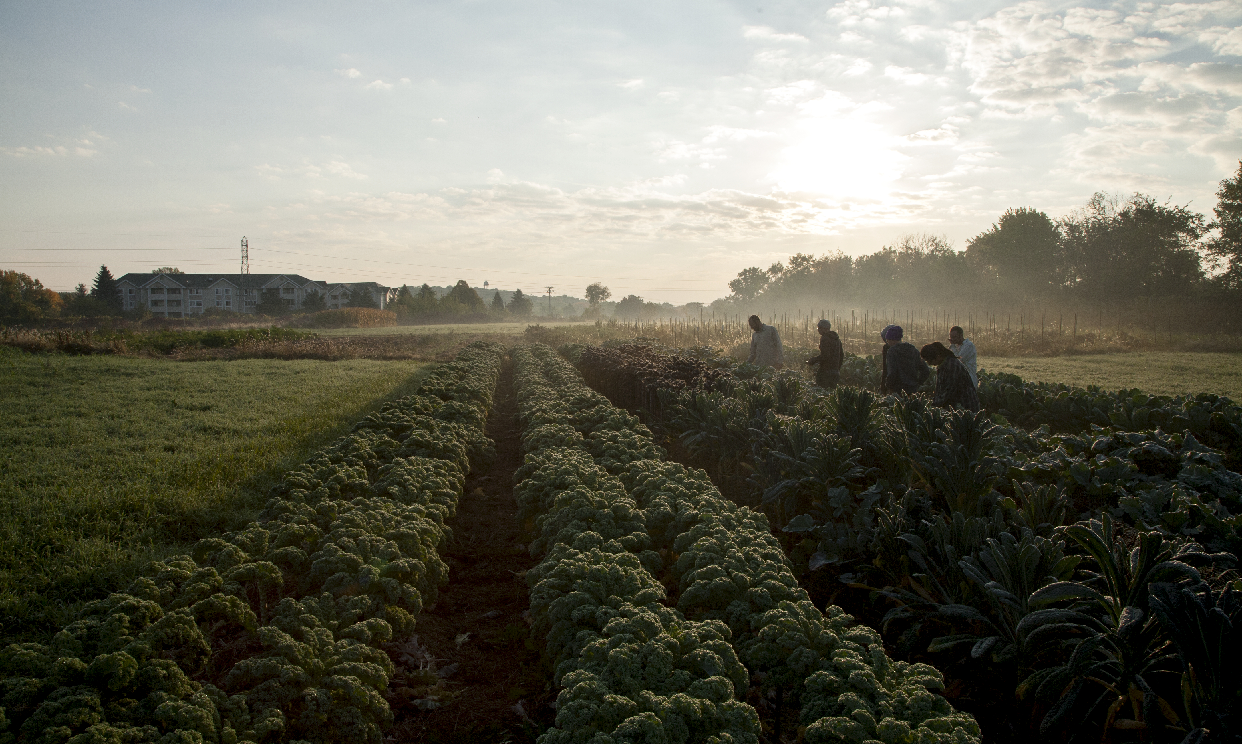 Photo by Emma Cassidy