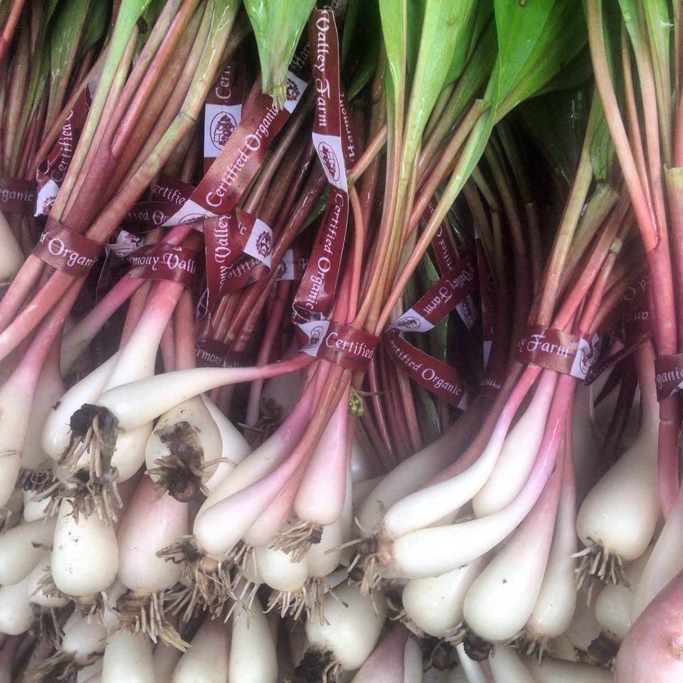 Ramps from Harmony Valley Farm