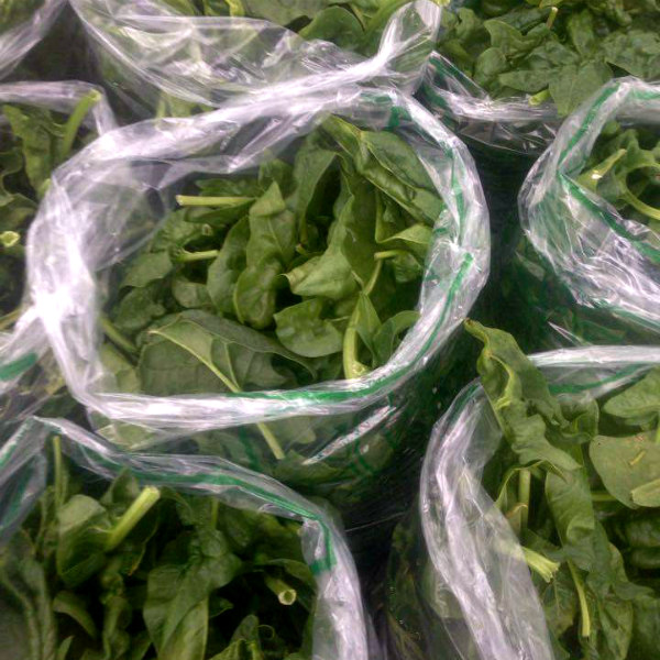 Fresh bags of spinach at the Dane County Farmers Market