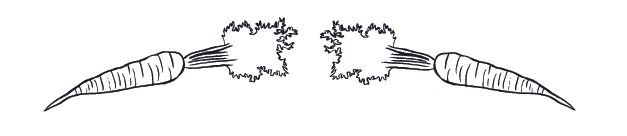 Pen and ink illustration of two carrots.