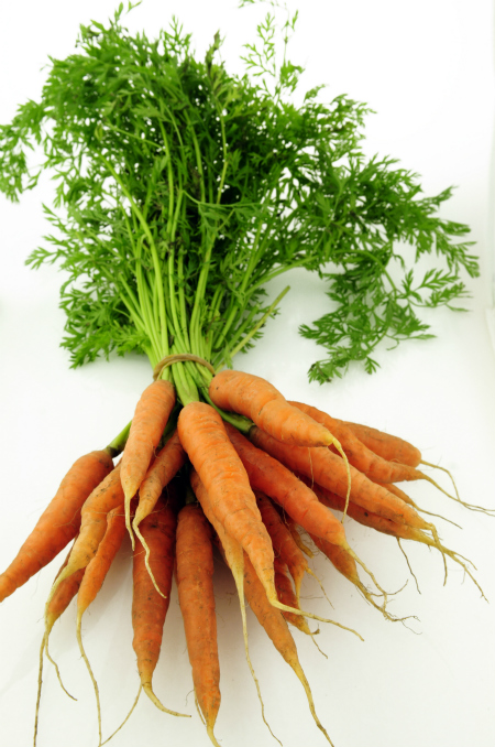 A big bunch of orange carrots with green leafy tops on a white background.