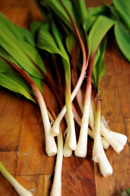 Ramps in preparation to complement the aged tenderloin with whipped bone marrow.