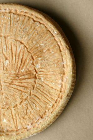 Bawdy Buffalo, a Tallegio-style cheese