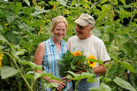 Dela & Tony Ends surrounded by sunflowers grown on the farm.
