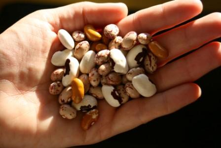 Beautiful Beans: Check your local farmers market for heirloom varieties of dried beans.