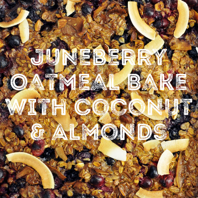 Click to get the recipe to Juneberry Oatmeal Bake with Coconut and Almonds.