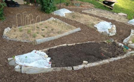 The freshly mulched spring garden.