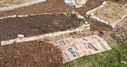 Use cardboard under wood chips for stubbon weedy areas, like those bordering grass.