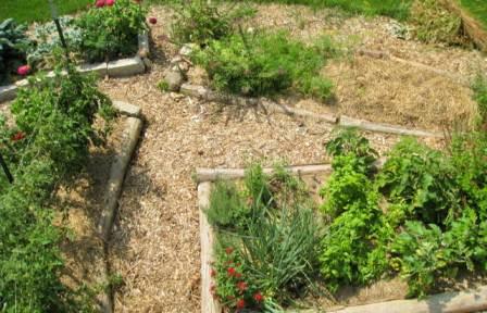 The mid-summer garden - weed-free and neatly mulched.