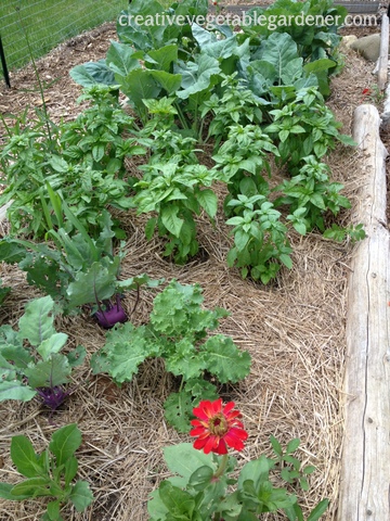 2013-07-03 08.19.20.jpg