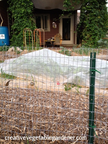 2013-07-08 20.01.23.jpg