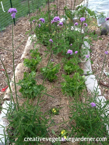 2013-07-08 20.01.03.jpg