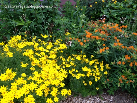 2013-07-03 08.11.32.jpg