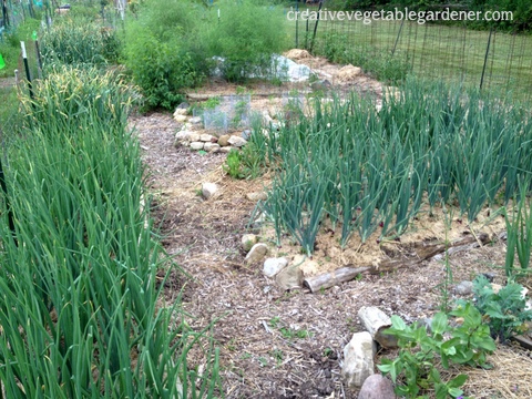 2013-07-08 20.06.45.jpg