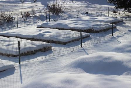 Megan's garden, cozy in its blanket of snow.