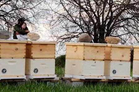 Steve and Steph with the POPs CSA beehives.