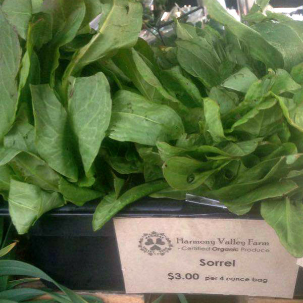 Sorrel from Harmony Valley Farm