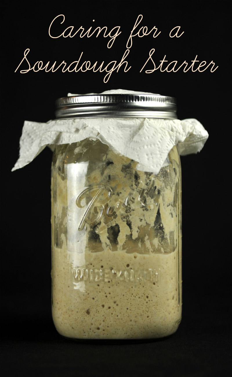 Click to read about caring for a sourdough starter.