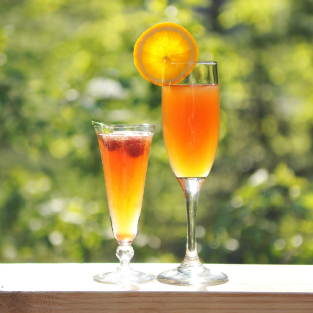 The Starkberry (left) and the Sugar Jack (right).