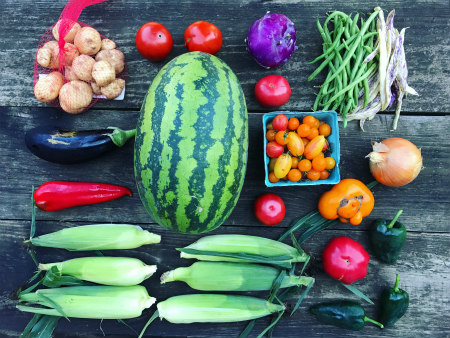 The colors of summer!